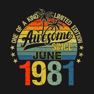 Vintage 41 Years Old June 1981 Decorations 41st Birthday T-Shirt