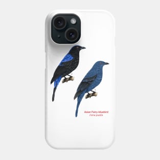 Asian Fairy-bluebird | Irena puella ⚥ Phone Case