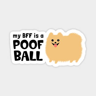 My BFF is a Poof Ball Pomeranian Magnet