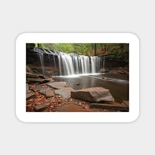 Waterfall in the Woods Magnet