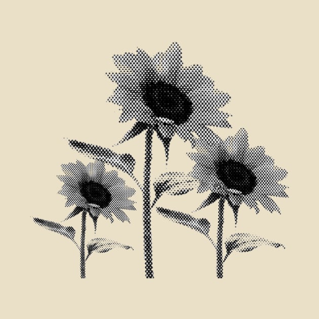Sunflower Black and White by Deamandazhr