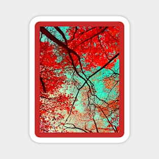 Autumn Trees Magnet