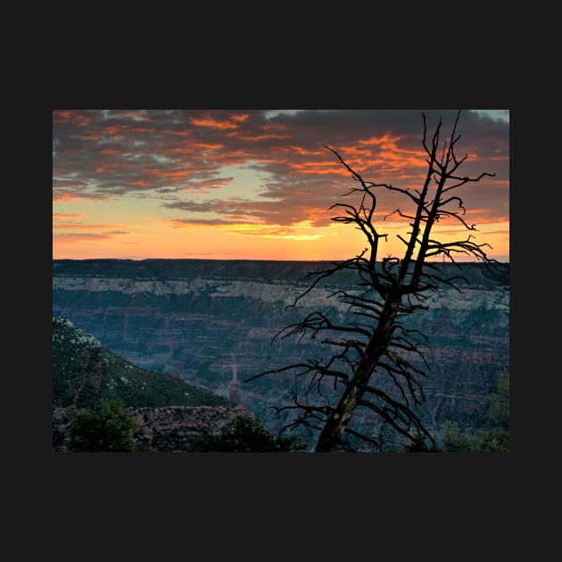 North Rim Dawn by MCHerdering