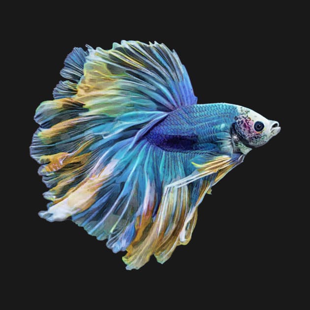 Paradise Betta Fish by PhotoArts