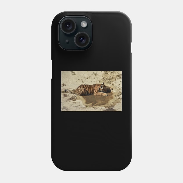 Tiger Cub Phone Case by MarieDarcy