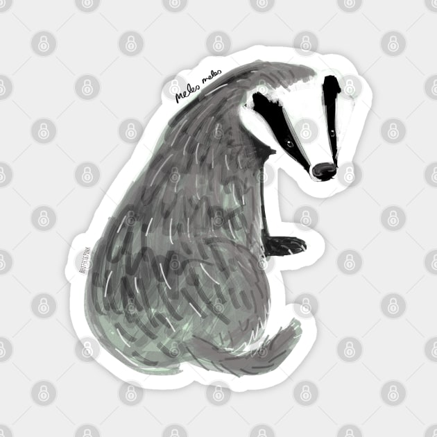 Adorable Badger Meles meles Magnet by belettelepink