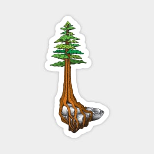 Giant Sequoia Magnet