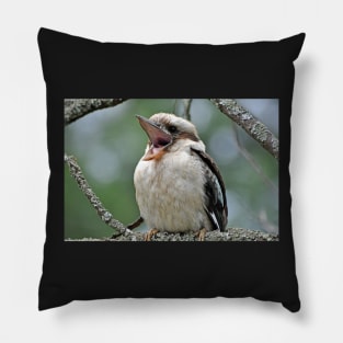 Laughing Kookaburra Pillow