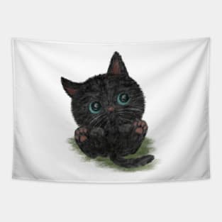 Black cat with blue eyes is lying down Tapestry