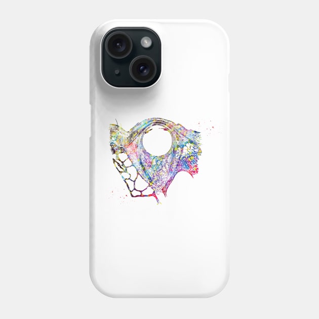 Eye Anatomy Phone Case by erzebeth