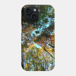 Plenty of beech trees trunks and branches with autumn colored leaves in Canfaito forest Phone Case