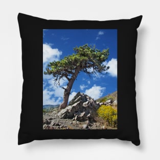 A Lonely Pine Tree Pillow