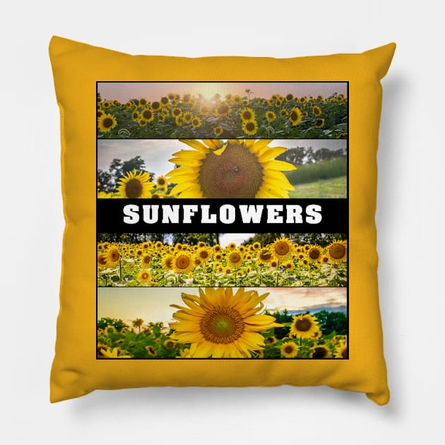 Sunflower Set Pillow by StormChaserD