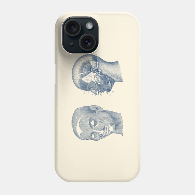 Human Skull Muscular Diagram - Dual View Phone Case by Vintage Anatomy Prints