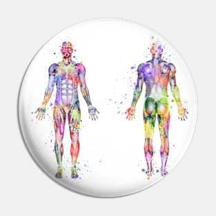 Human Body Muscles Watercolor Pin