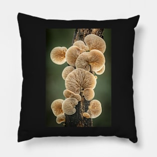 Crepidotus fungi on a branch Pillow