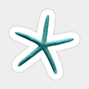 Starfish, Teal Blue Magnet