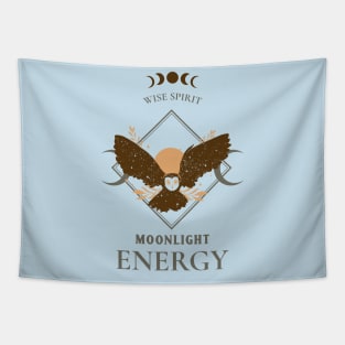 Owl Wise Spirit Moonlight Energy Tapestry