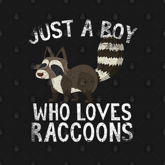 Just A Boy Who Loves Raccoons by simonStufios