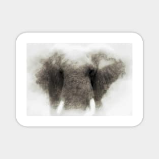 Elephant portrait Magnet