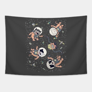 CatStronauts Tapestry