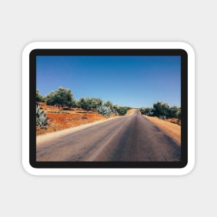 Empty Road in Moroccan Olive Tree Territory Magnet