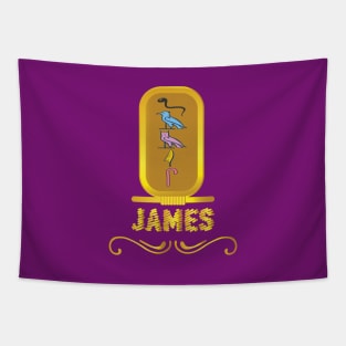 JAMES-American names in hieroglyphic letters-James, name in a Pharaonic Khartouch-Hieroglyphic pharaonic names Tapestry