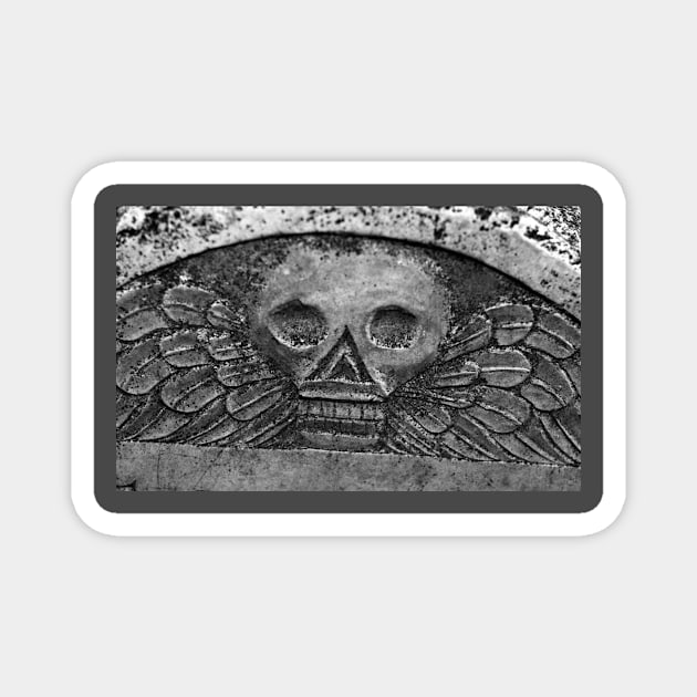 Winged Skull Headstone Magnet by JCasper