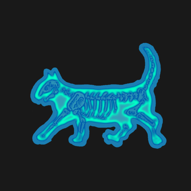 Kitty Cat Skeleton Illustration, XRAY - Cat - T-Shirt ...