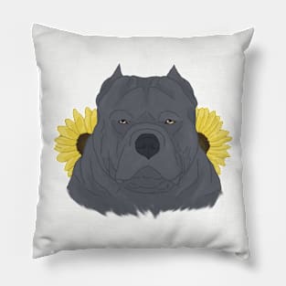 Blue American Bully with Sunflowers Pillow