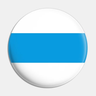 White blue white - New Russian Flag Pin