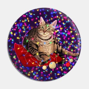 cute chonky christmas cat Pin