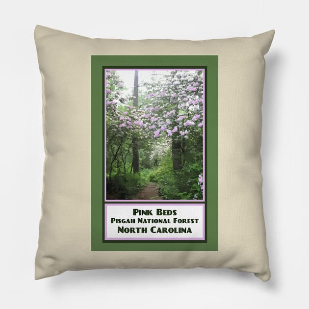 Vintage Travel Pink Beds Pillow by candhdesigns