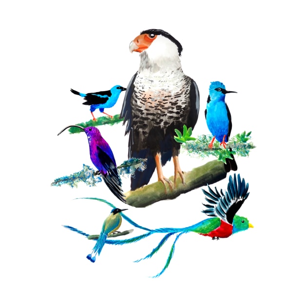 Caracara Tropical Exotic Birds Collection by julyperson