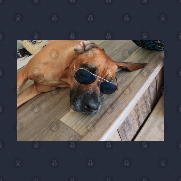 Chill Dog with Glasses by FCCT Graphics