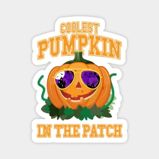 Coolest Pumpkin in the Patch Magnet