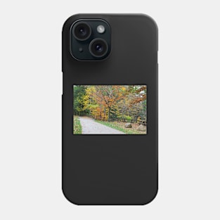 Road in the autumn Phone Case