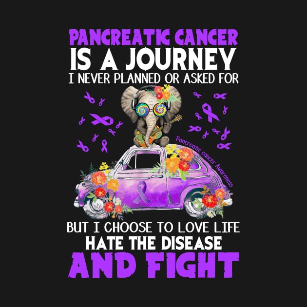 Pancreatic Cancer Is A Journey by Camryndougherty