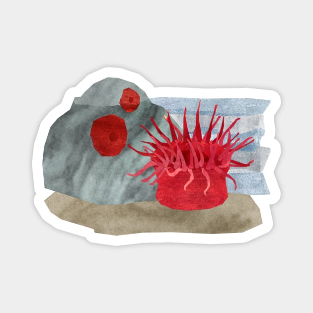 Sea anemone Magnet by Babban Gaelg