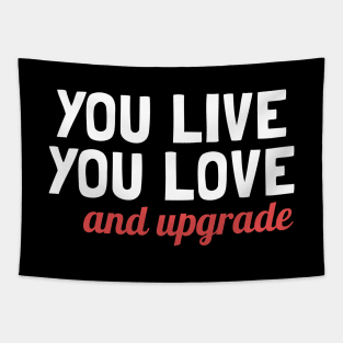 You Live You Learn and You Upgrade Tapestry