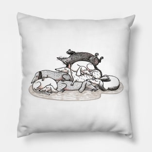 Dackel - Teckel - Dachshund - Sausage Dog Pillow