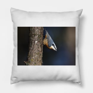 Red-breasted Nuthatch Pillow