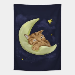 Sleeping cat Tapestry