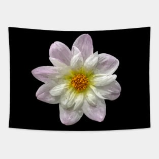 Pretty purple white yellow Dahlia Botanical Bee Flower Annual Tapestry