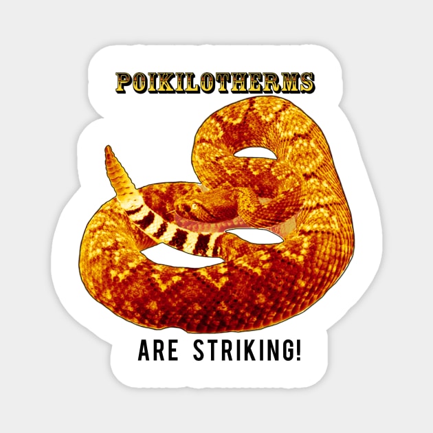 Poikilotherms (Rattlesnakes) Are Striking! Magnet by TopsyTriceratops