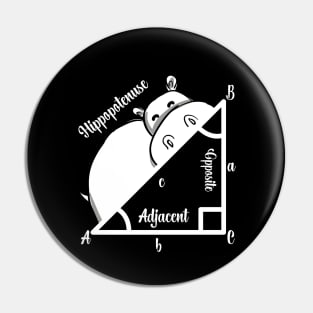 Math Teacher Pin