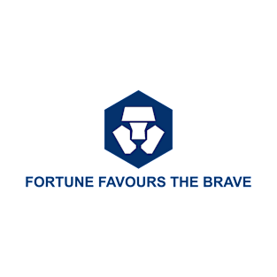 Crypto com CRO Token Fortune Favours the Brave T-Shirt