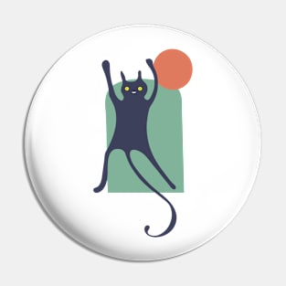 Funny Cat Pin