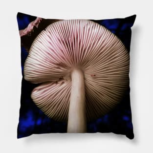 Fungus with a Hat Pillow