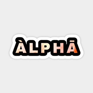 ALPHA Magnet